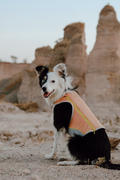 La Tienda de Frida & Chelsee Swamp Cooler Zip® Chaleco de Enfriamiento en Rosa Salmón (Pink Salmon) de Ruffwear® Review