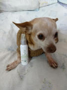 La Tienda de Frida & Chelsee Aceite Orgánico p/Eczemas y Piodermas Caninas 59 ml - Organic Hot Spot Oil de Pura Naturals® Review
