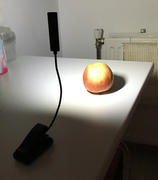 HomeLiving.nl XIB Klemlampje LED - 2 lichtpunten Review