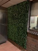 Vertical Gardens Direct Artificial Jasmine Hedge 1m x 1m Plant Wall Screen Panel UV Stabilised Review
