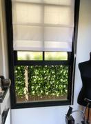 Vertical Gardens Direct Artificial Ivy Leaf Hedge 1m x 1m Plant Wall Screening Panel UV Protected Review