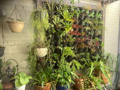 Vertical Gardens Direct Maze Vertical Garden Wall Planter Kit - 50 Pots (78cm x 160cm) Review