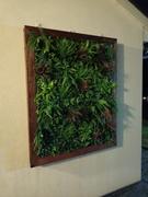 Vertical Gardens Direct Artificial Vista Green Recycled Vertical Garden Panel 1m x 1m UV Stabilised Review