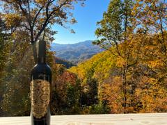 Mano's Wine Decorative Skull Etched Wine Review