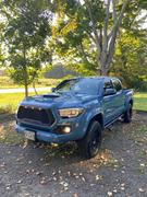 Tacoma Lifestyle Raptor Grille For Tacoma (2016-2023) Review