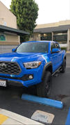 Tacoma Lifestyle Taco Vinyl Super Size Universal Decals Review