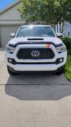 Tacoma Lifestyle Taco Vinyl Small Universal Decals Review
