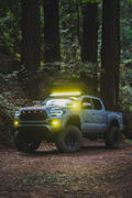 Tacoma Lifestyle AlphaRex Pro Series Tacoma Headlights (2016-2022) Review