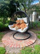 Hanging Out Twin Perch - Double Seater Hanging Swing Chair Review