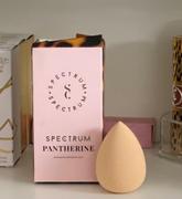 Spectrum Collections Pantherine Sponge Duo Review