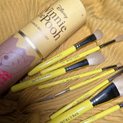 Spectrum Collections Winnie the Pooh 8 Piece Brush Set Review
