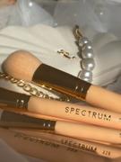 Spectrum Collections Glam Clam 10 Piece Brush Set in Bag Review