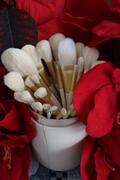 Spectrum Collections Sculpt 30 Piece Brush Set in Tube Bag Review