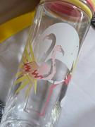 EQUA Flamingo BPA free bottle Review