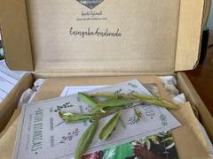 Bush Medijina Skin Soothe Gift Bag Review