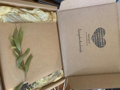 Bush Medijina Skin Soothe Gift Bag Review