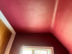 JC Licht Aura® Interior Paint Review