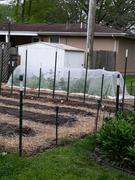 AgFabric As Wide As Needed Insect Barrier Netting, 16ftW Review