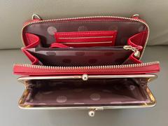 Egratbuy Large Capacity Multifunctional Kiss-lock  Crossbody Phone Bag (Buy 2 Get 15% Off) Review
