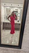 Alieva Rona 3D flowers Corset Maxi Gown (Fuchsia) Review
