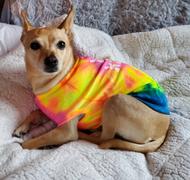 sunshinesisters Be Kind Dog Tanks Review
