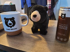 Two Bears Mocha Flash Brew Coffee Review