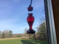 More Birds More Birds® Blossom Hummingbird Feeder with Glass Bottle, 25 oz. capacity Review