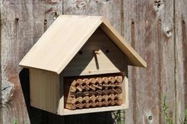 More Birds More Wings™ Cabin Mason Bee House Review