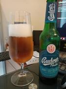 Craftzero Budejovicky Budvar Non-Alcoholic Beer 330mL Review