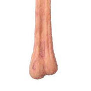 Smoov Smoov Scapemaster Review