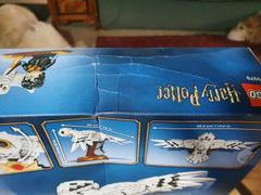 Myhobbies LEGO® 75979 Harry Potter™ Hedwig™ Review