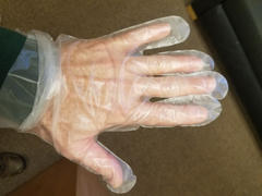 YourGloveSource.com Great Glove CPE Cast Polyethylene Hybrid Gloves, Powder Free Review