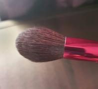 Fude Beauty Chikuhodo PS-2 Cheek Brush, Passion Series Review