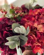 Prestige Botanicals Short Stem Burgundy Hydrangea 20 Review