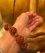 DharmaShop Traditional Giant Rudraksha Wrist Mala Review