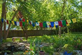 DharmaShop Swift Wishes Prayer Flags Review