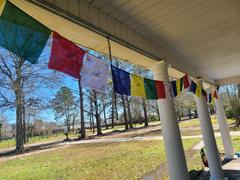 DharmaShop Outdoor Long-Lasting Prayer Flags Review