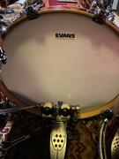 Chicago Music Exchange Evans 22 UV EQ4 Bass Drumhead Review