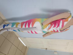 BOO! Designs Spandex Glitter Ombre Rainbow Review