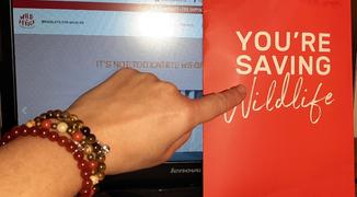 Wild In Africa® Saving The Survivors - Charity Bracelet Review
