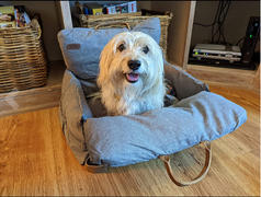 DogGoods Do Good ® The 3-In-1 Dog Car Seat, Dog Bed and Dog Tote Bag By DogGoods ® Review