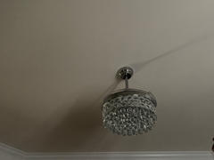 SILJOY LIGHTING Heart-shaped Rim Crystal Ceiling Fan Light Review