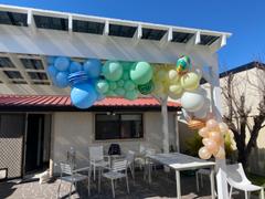 Bang Bang Balloons DIY Balloon Garland Kit - Sorbet (Pastel Rainbow) Review