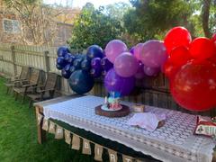 Bang Bang Balloons DIY Balloon Garland Kit - Custom - Pick Your Colours Review