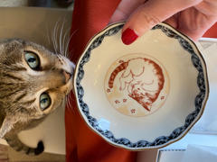 JAPAN KUTANI SHOP Bizan Kiln Akae Small Cat Kutani Sauce Plate Set Review