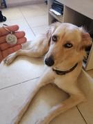 CuidaMiMascota La más linda placa identificativa para tu Mascota - Con foto y teléfono! - Pet Lovers Review