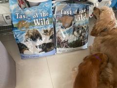 CuidaMiMascota Taste of the Wild Pacific Stream Puppy Salmón Ahumado 12.7kg - Alimento para perro Review