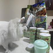 CuidaMiMascota Taste of the Wild Rocky Mountain Feline Venado y Salmón Ahumado 6.3kg- Alimento para gato Review