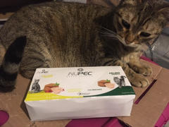 CuidaMiMascota Pack Nupec 2 latas de Felino Urinary + 2 latas Felino Hairball - Alimento Húmedo para Gato Adulto Review