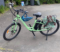 Pushbikes Basil Ever-green Singlebag/daypack, 14-19L Review